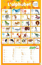 Les posters effacables - l-alphabet