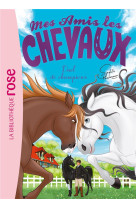 Mes amis les chevaux - sophie thalmann - t32 - mes amis les chevaux 32 - duel de champions