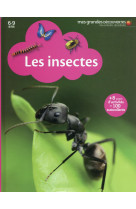 Les insectes