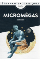 Micromégas