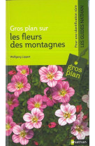 Gp sur les fleurs de montagnes