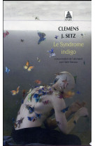 Le syndrome indigo