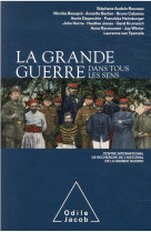 La grande guerre dans tous les sens