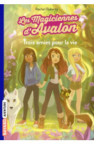 Les magiciennes d'avalon, tome 01