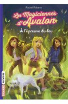 Les magiciennes d'avalon, tome 06