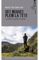 Des nuages plein la tete - un patre en quete dabsolu