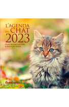 L'agenda du chat 2023