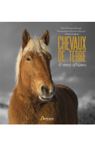 Chevaux de terre et vent d'hiver