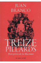 Treize pillards - petit precis de la macronie