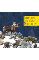 Faune des pyrénées : rencontres