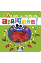 Une araignee