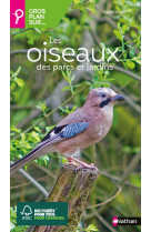 Gros plan sur les oiseaux des parcs et jardins