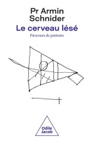 Le cerveau lese - parcours de patients