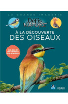 A la decouverte des oiseaux