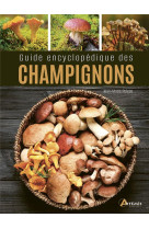 Guide encyclopedique des champignons