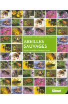 Abeilles sauvages