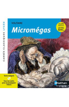 Micromégas - voltaire - numéro 17