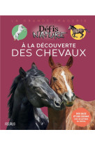 à la découverte des chevaux