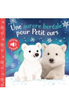 Une aurore boréale pour petit ours