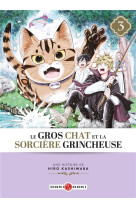 Le gros chat et la sorciere grincheuse tome 3