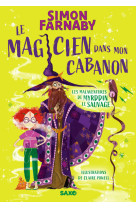 Le magicien dans mon cabanon (broché) - tome 01 les malaventures de myrddin le sauvage