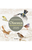 Calendrier 2025 oiseaux grandeur nature