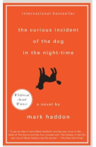 The curious incident of the dog in the night time