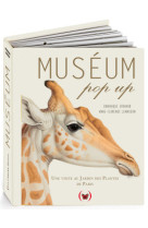 Muséum pop up