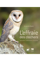 L'effraie des clochers