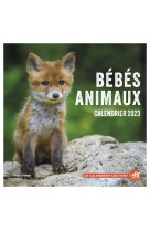 Calendrier mural bébés animaux 2023