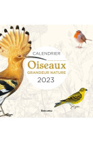 Calendrier oiseaux grandeur nature 2023