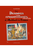 Les dessous croustillants de l'histoire de france illustrés