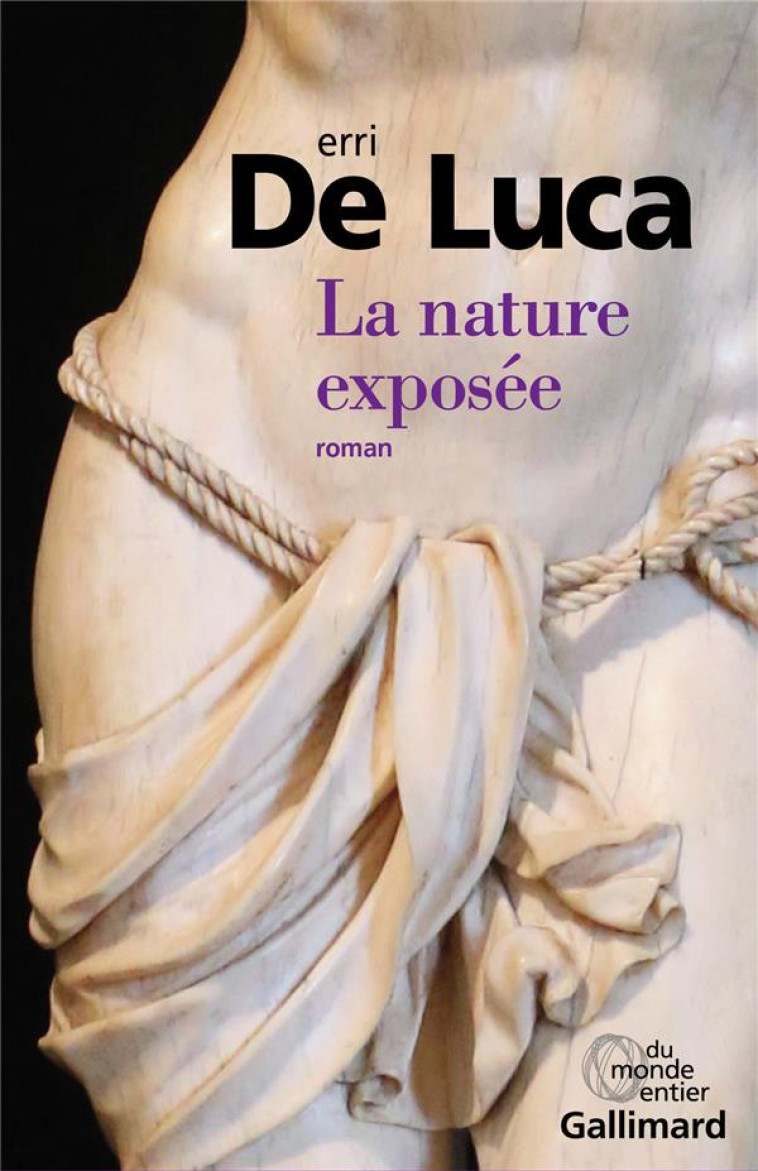 LA NATURE EXPOSEE - DE LUCA ERRI - GALLIMARD