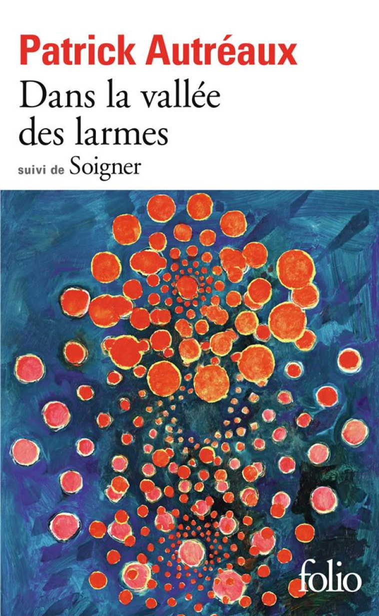 DANS LA VALLEE DES LARMES / SOIGNER - AUTREAUX PATRICK - GALLIMARD