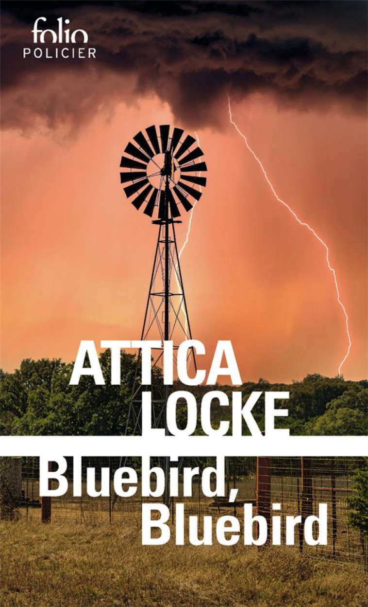 BLUEBIRD, BLUEBIRD - LOCKE ATTICA - GALLIMARD