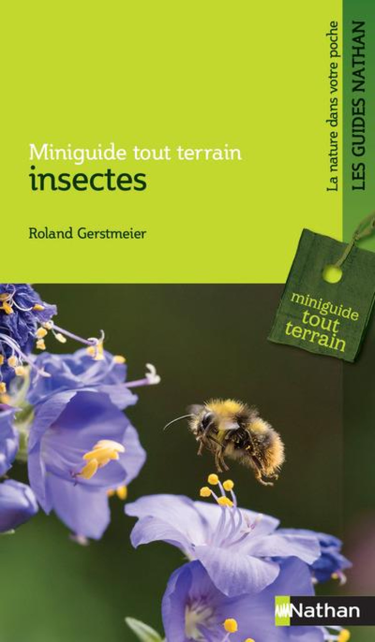 MINIGUIDE TOUT TERRAIN : INSECTES - GERSTMEIER/MILLS - CLE INTERNAT