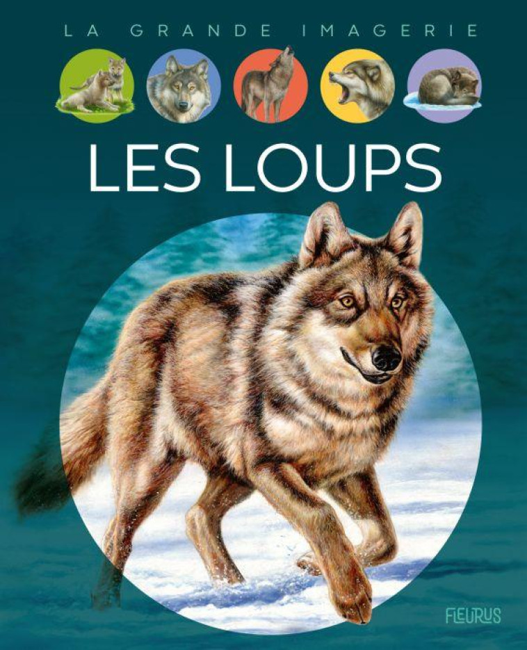 LES LOUPS - VANDEWIELE/ALUNNI - FLEURUS