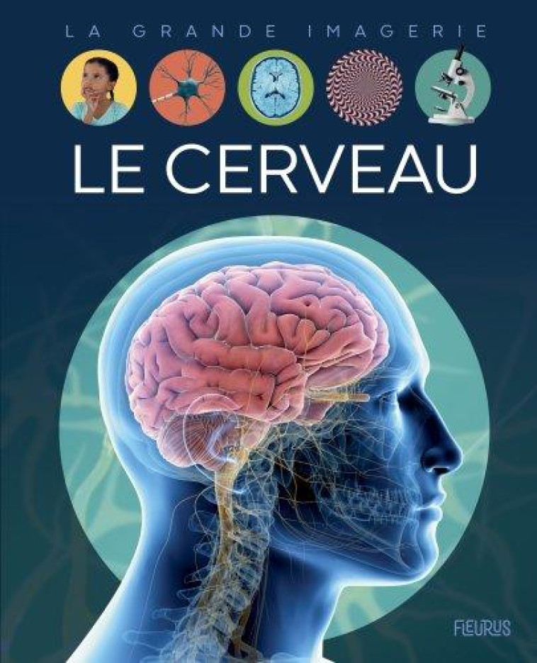 LE CERVEAU - FRANCO/BUSSI - FLEURUS