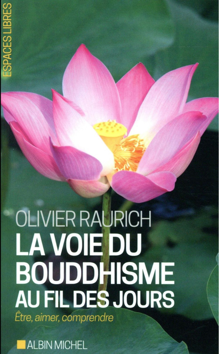 ESPACES LIBRES - T275 - LA VOIE DU BOUDDHISME AU FIL DES JOURS - ETRE, AIMER, COMPRENDRE - RAURICH OLIVIER - ALBIN MICHEL