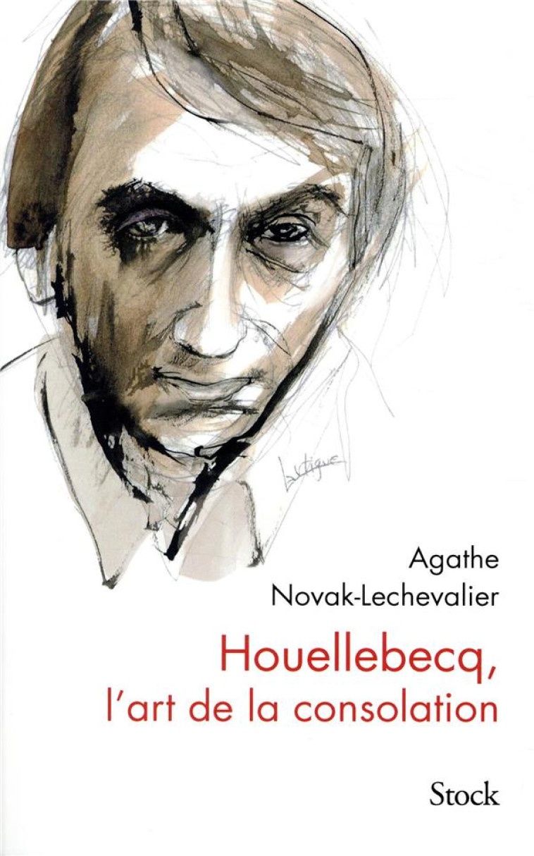 HOUELLEBECQ, L'ART DE LA CONSOLATION - NOVAK-LECHEVALIER A. - STOCK