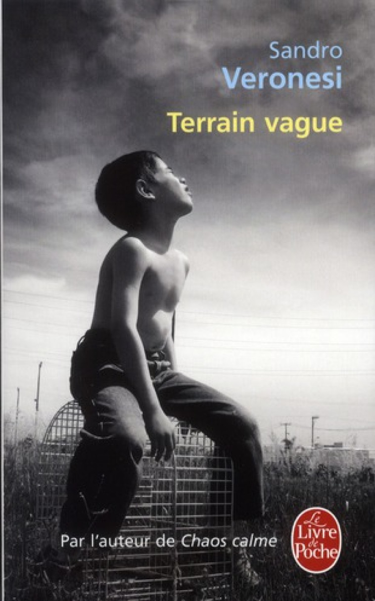 TERRAIN VAGUE - VERONESI SANDRO - LGF/Livre de Poche