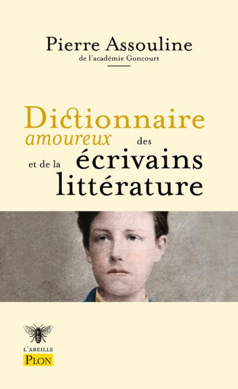 DICTIONNAIRE AMOUREUX DES ECRIVAINS ET DE LA LITTERATURE - BOULDOUYRE/ASSOULINE - PLON