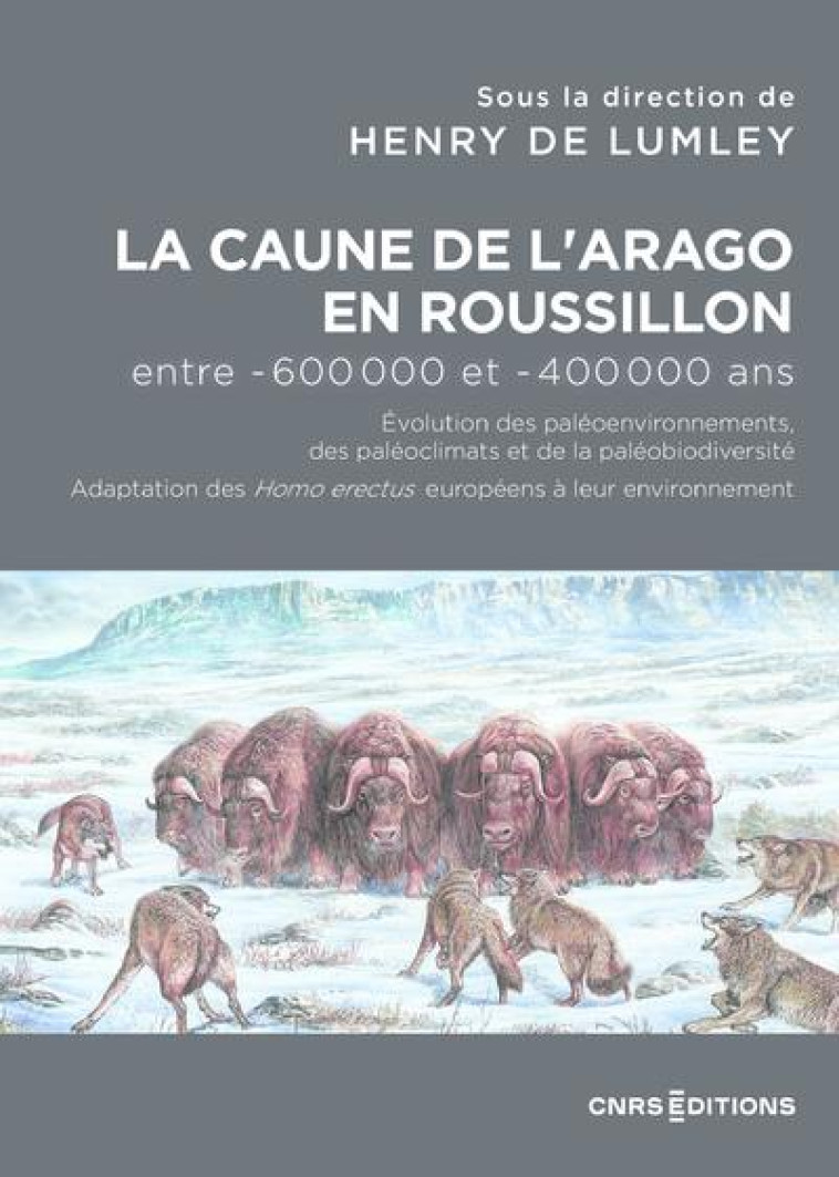 LA CAUNE DE L'ARAGO EN ROUSSILLON ENTRE -600 000 ET -400 000 ANS - LES HOMO ERECTUS EUROPEENS DANS L - LUMLEY HENRY DE - CNRS