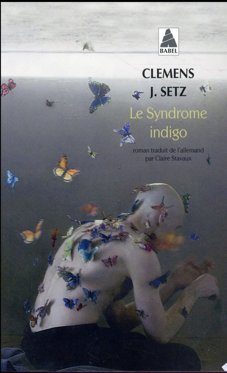 LE SYNDROME INDIGO - SETZ CLEMENS J. - Actes Sud