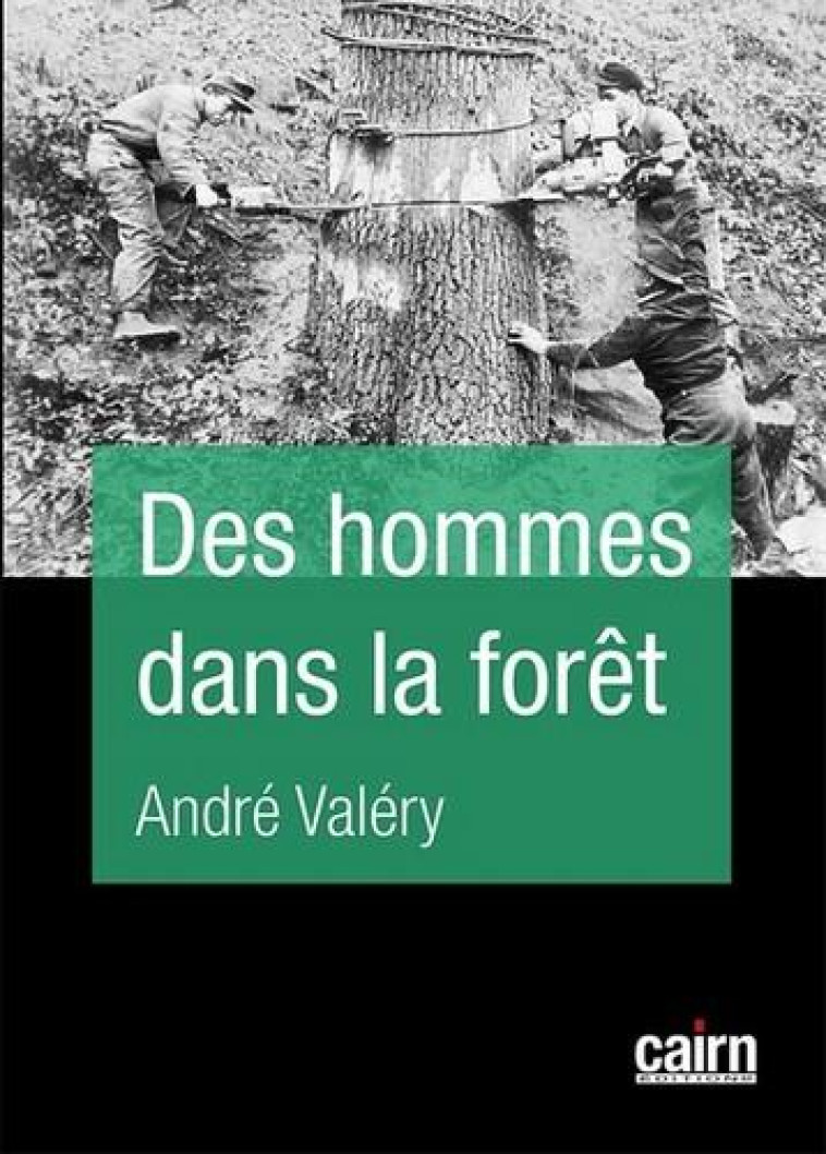 DES HOMMES DANS LA FORET - VALERY ANDRE - CAIRN