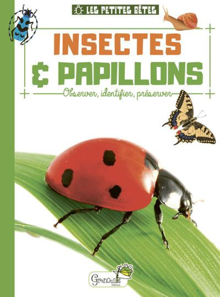 PETITES BETES INSECTES ET PAPILLONS - XXX - GRENOUILLE