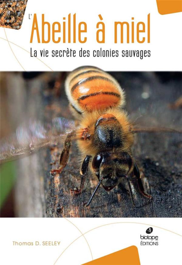 L'ABEILLE A MIEL - LA VIE SECRETE DES COLONIES SAUVAGES - SEELEY THOMAS D. - BIOTOPE