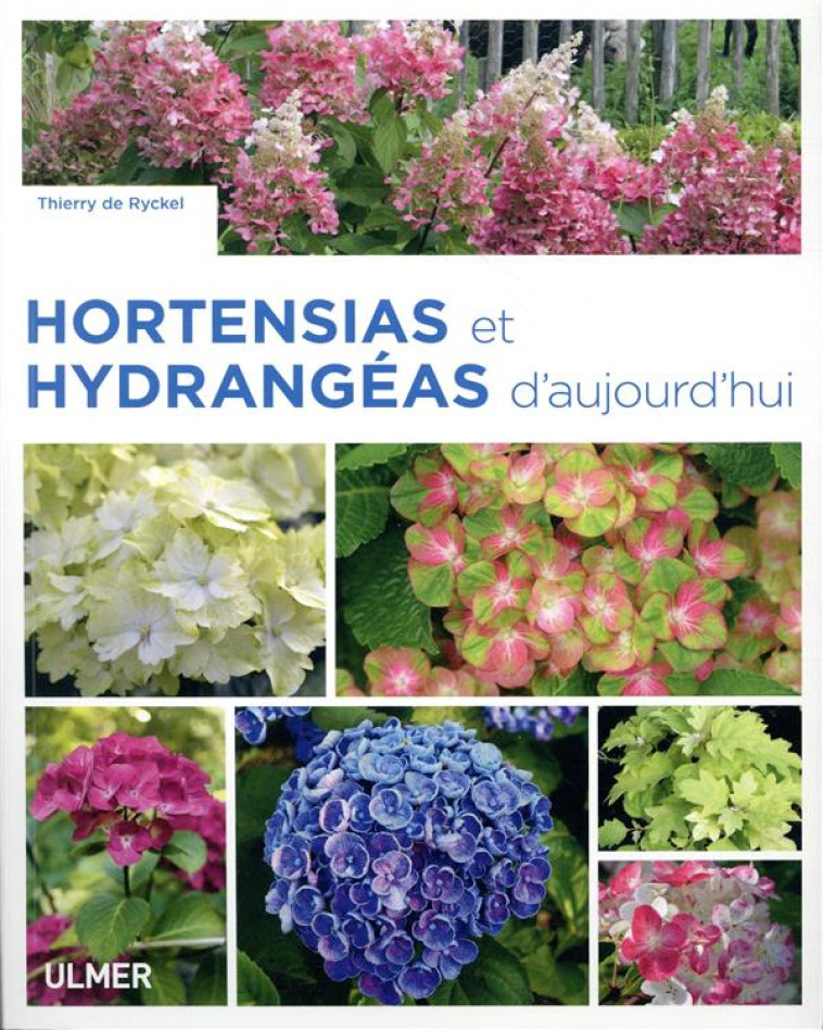 HORTENSIAS ET HYDRANGEAS D'AUJOURD'HUI - RICKEL THIERRY DE - ULMER