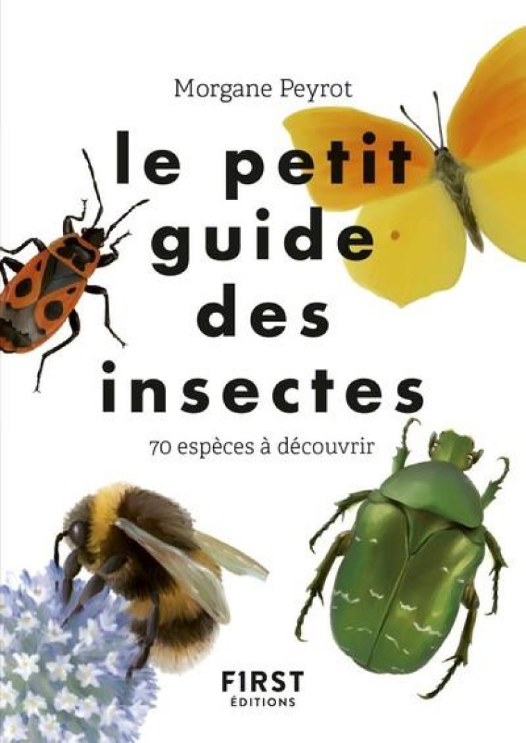 LE PETIT GUIDE DES INSECTES - PEYROT MORGANE - FIRST