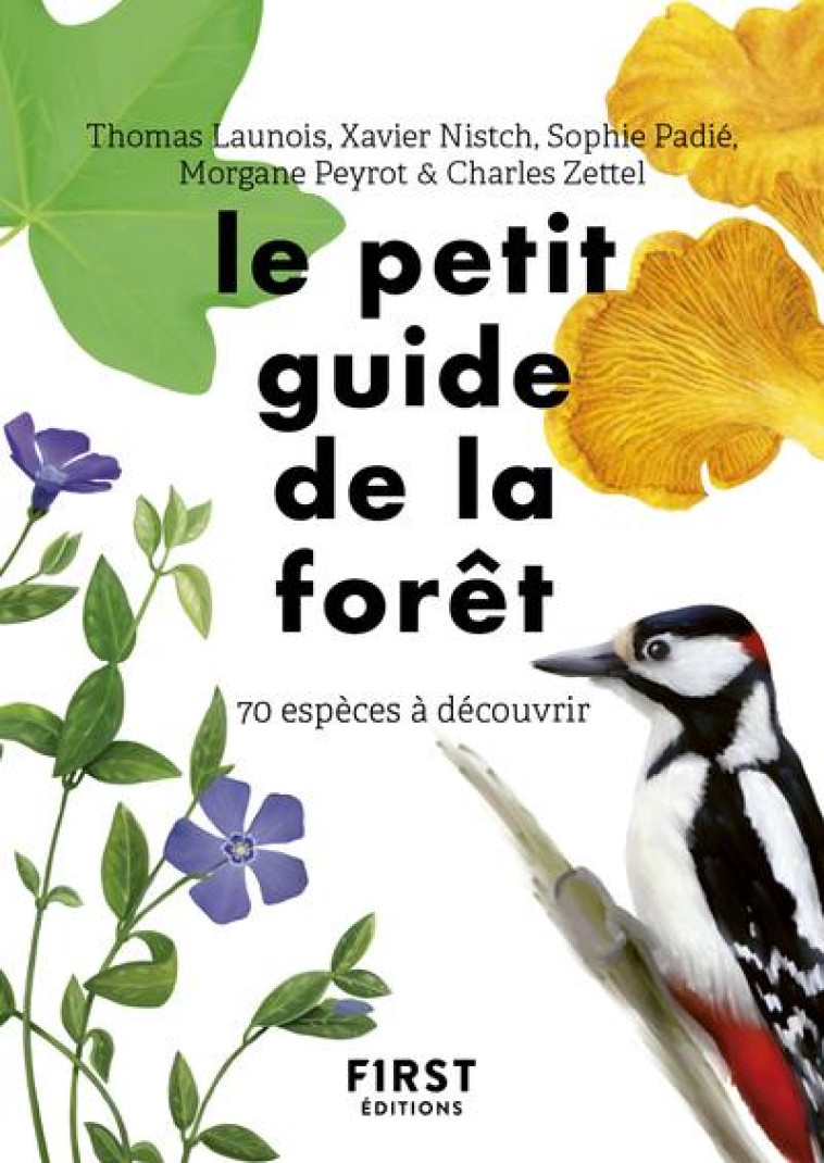 LE PETIT GUIDE D'OBSERVATION DE LA FORET - COLLECTIF - FIRST